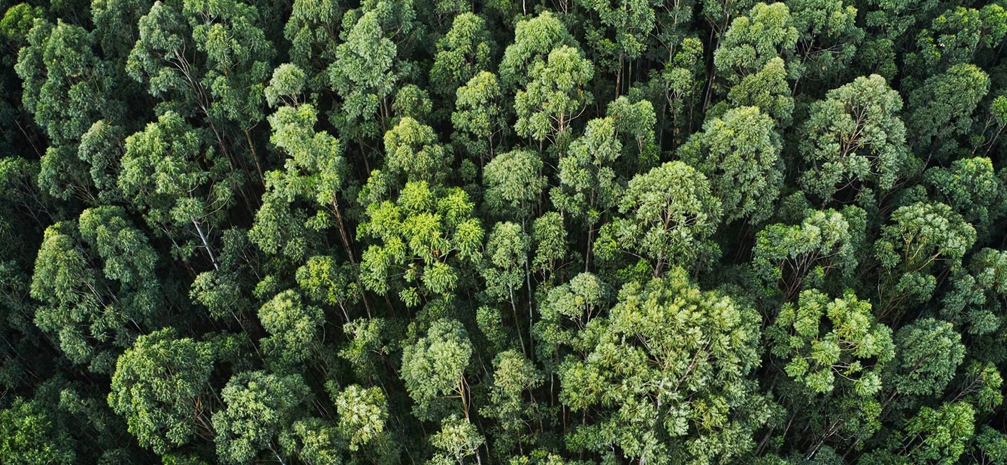 可持续性和环境影响